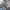 https://res.cloudinary.com/billionhands/image/upload/v1781818270/items/tauhzhhpiqznftn3w9d9.webp-0cover