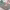 https://res.cloudinary.com/billionhands/image/upload/v1781821692/items/cko06mlolf0rqtuy0eoo.jpg-1cover