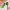 https://res.cloudinary.com/billionhands/image/upload/v1781821832/items/xjeqhneqleamsruob4pq.jpg-2cover
