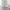 https://res.cloudinary.com/billionhands/image/upload/v1781821911/items/dpafep1elffjf9ymncvn.webp-1cover