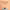 https://res.cloudinary.com/billionhands/image/upload/v1781821913/items/ng5qgtaqj3ullmlflf1l.jpg-2cover