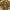 https://res.cloudinary.com/billionhands/image/upload/v1781823581/items/a0is2zyxdvcbmaglonmw.jpg-2cover