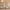 https://res.cloudinary.com/billionhands/image/upload/v1781824539/items/knbuweuau8auvzrfxf4d.jpg-2cover