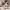 https://res.cloudinary.com/billionhands/image/upload/v1781828868/items/p9o7jxkjtlad67arkxta.webp-0cover