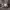 https://res.cloudinary.com/billionhands/image/upload/v1781829533/items/ecucdmgbwvkncssie94i.jpg-3cover