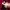 Coming of Age Ceremony (성인식) cover