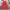 https://res.cloudinary.com/billionhands/image/upload/v1781831153/items/dyzkmdur7suu3vwxovfy.jpg-0cover