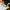 https://res.cloudinary.com/billionhands/image/upload/v1781831857/items/kciycjnf5upyabrzsw1t.webp-3cover