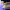 https://res.cloudinary.com/billionhands/image/upload/v1781831861/items/z03a1xhox9kc63hlwl2u.jpg-1cover