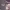 https://res.cloudinary.com/billionhands/image/upload/v1781833652/items/tx7n1nz4xbkyncf9c0ej.webp-2cover
