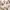 https://res.cloudinary.com/billionhands/image/upload/v1781835100/items/mrajtcs0nglmtcxq0t0x.jpg-1cover