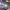 https://res.cloudinary.com/billionhands/image/upload/v1781835612/items/zhr7fohcnzeei99yg92c.webp-3cover