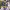 https://res.cloudinary.com/billionhands/image/upload/v1781837183/items/lv4tgm2sznwcloooebsz.jpg-3cover
