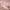 https://res.cloudinary.com/billionhands/image/upload/v1781838292/items/aq4vt5w44goftyjnyli2.jpg-3cover