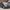 https://res.cloudinary.com/billionhands/image/upload/v1781839138/items/sjjbflvz6egmvuewntwk.jpg-0cover