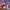 https://res.cloudinary.com/billionhands/image/upload/v1781844597/items/w6unb4qctfi7wt4xwscj.jpg-1cover