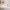 https://res.cloudinary.com/billionhands/image/upload/v1781845546/items/qnotsqoyue2ynkkzbmzd.webp-0cover