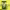 https://res.cloudinary.com/billionhands/image/upload/v1781846227/items/nscgltshrg6duoqbkx2r.webp-2cover