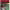 https://res.cloudinary.com/billionhands/image/upload/v1781847131/items/iohhs8zvtn0chzmdsy7h.jpg-0cover