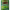 https://res.cloudinary.com/billionhands/image/upload/v1781847234/items/k6tushnaaztbhqsuneqw.webp-0cover