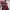 https://res.cloudinary.com/billionhands/image/upload/v1781847353/items/b1hgrj7l8thbit9vykbu.jpg-3cover