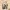 https://res.cloudinary.com/billionhands/image/upload/v1781851439/items/l0kz4lo9ju3vmmze1wvi.jpg-2cover