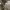 https://res.cloudinary.com/billionhands/image/upload/v1781852371/items/nyzf4d4rkxsmqmk3vmwp.webp-3cover