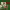 https://res.cloudinary.com/billionhands/image/upload/v1781853498/items/tcssbofgtjhl7rj7cofv.jpg-0cover