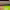 https://res.cloudinary.com/billionhands/image/upload/v1781853784/items/kei1ddrh3e2rfled7kpw.jpg-2cover