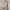 https://res.cloudinary.com/billionhands/image/upload/v1781854264/items/dtebpeh95tqyzrlkpdym.webp-0cover