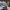 https://res.cloudinary.com/billionhands/image/upload/v1781855620/items/s8sk2rvbmyvfxkyzj88e.webp-1cover