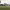 https://res.cloudinary.com/billionhands/image/upload/v1781855638/items/xvcir5ltd3dgpaei5srd.webp-2cover