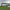 https://res.cloudinary.com/billionhands/image/upload/v1781855639/items/znbgetkteyotkh3dult7.webp-3cover