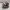 https://res.cloudinary.com/billionhands/image/upload/v1781855797/items/nqcoutldssqeqc9mfjgf.avif-3cover