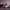 https://res.cloudinary.com/billionhands/image/upload/v1781856362/items/zttmpmdwrak5gdn76jdc.jpg-1cover