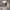 https://res.cloudinary.com/billionhands/image/upload/v1781856381/items/u3rzwtzrirn3351rrzxj.jpg-1cover