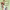 https://res.cloudinary.com/billionhands/image/upload/v1781856929/items/cg0onqn1nmmcyikweosb.jpg-0cover