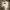 https://res.cloudinary.com/billionhands/image/upload/v1781859016/items/xsq4vdujxlscdit2eh2o.webp-3cover