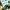 https://res.cloudinary.com/billionhands/image/upload/v1781859818/items/yjfonrozvgxnr2p0gs8j.png-3cover