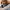 https://res.cloudinary.com/billionhands/image/upload/v1781860170/items/lwwg3tcx4xrri4asgeck.webp-1cover