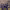 https://res.cloudinary.com/billionhands/image/upload/v1781860212/items/rxl1ih1kjb3dhcyvmfpc.jpg-3cover