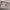 https://res.cloudinary.com/billionhands/image/upload/v1781860280/items/hi3rdplioqdo0wxhojfi.jpg-2cover
