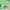 https://res.cloudinary.com/billionhands/image/upload/v1781860370/items/dp2mo186s9sh6wfikw4k.webp-1cover