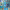 Gaudí: Windows on the Future cover