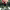 https://res.cloudinary.com/billionhands/image/upload/v1781861558/items/ih08w0nzbzb61lh8yank.jpg-0cover
