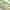 https://res.cloudinary.com/billionhands/image/upload/v1781862562/items/upwajvdurok5lpuyvrnn.webp-2cover