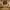 https://res.cloudinary.com/billionhands/image/upload/v1781863042/items/hjhjrta4zs6oe6grq4sq.webp-2cover