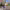https://res.cloudinary.com/billionhands/image/upload/v1781865134/items/sty6lzhfqaa7qa0jnqc6.jpg-2cover