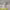 https://res.cloudinary.com/billionhands/image/upload/v1781865135/items/s0hdzxsjdnlivd8ntujd.png-0cover