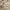 https://res.cloudinary.com/billionhands/image/upload/v1781865445/items/pu9nvvfle4tscgqzzp54.jpg-0cover